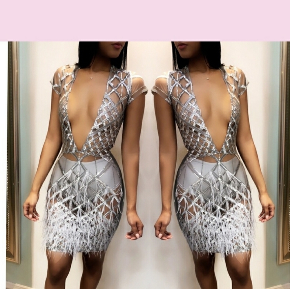 Dach Boutique Luna Feather Dress Small